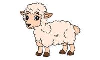 Comment dessiner un mouton