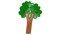 Comment dessiner un arbre