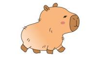 Comment dessiner un capybara