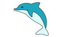 Comment dessiner un dauphin