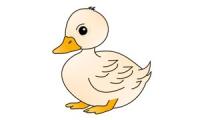 Comment dessiner un canard