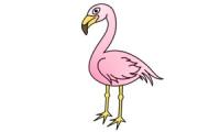 Comment dessiner un flamant rose