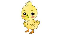 Comment dessiner un poussin