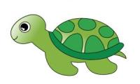 Comment dessiner une tortue