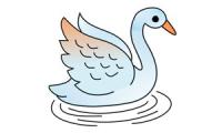 Comment dessiner un cygne