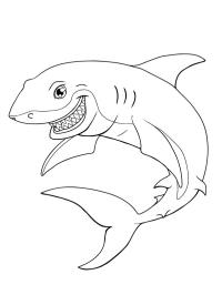 Requin