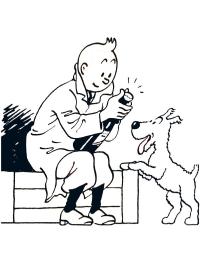 tintin et milou