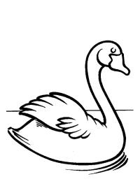 Cygne