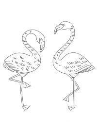 2 Flamants rose