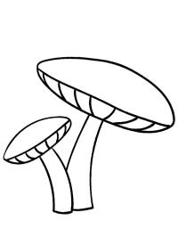 2 champignons