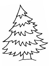 Sapin de Noël