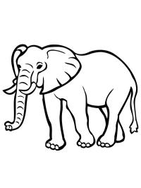 Coloriage Adulte - Éléphant Dans Le Cirque Avec Des Accessoires De