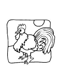 poule