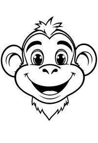 Tête de singe