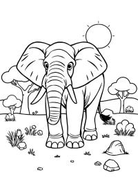 Éléphant d'Afrique