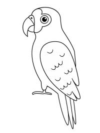 Perroquet de l'Amazonie