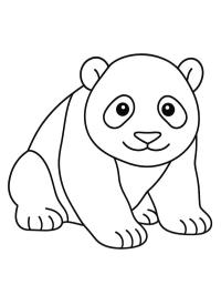 Bébé panda