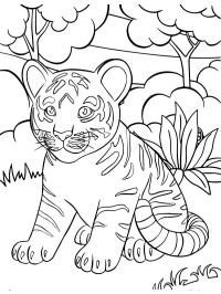 Bébé tigre (tigron)