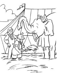 Bassie et Adriaan chez l'éléphant
