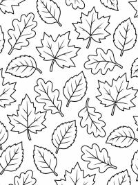 Motif de feuilles