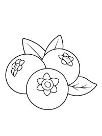 Myrtilles