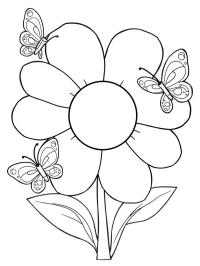 Fleur avec des papillons