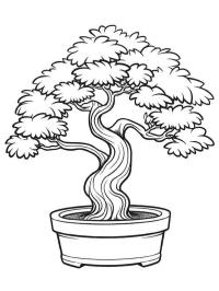 Arbre bonsaï