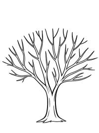 Arbre sans feuilles