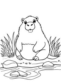 Capybara près de l'eau