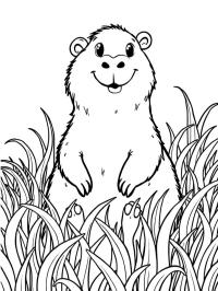 Capybara dans l'herbe