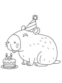 Capibara fête son anniversaire