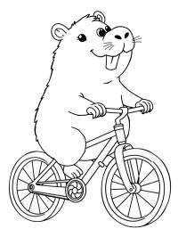 Capybara sur un vélo