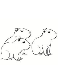 Bébés capybaras