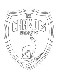 chamois niortais