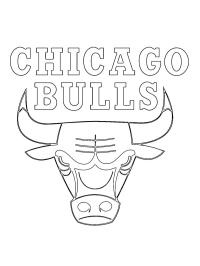 chicago bulls