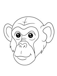 Visage de chimpanzé