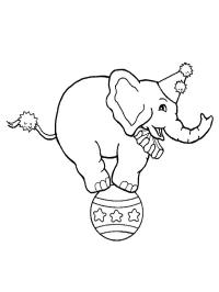 Eléphant de cirque sur une balle