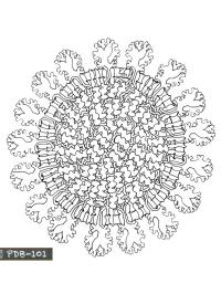 Mandala Coronavirus
