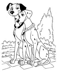 Dalmatien Pongo et Perdy