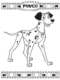 Dalmatien Pongo