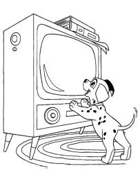 Dalmatien regarde la télévision