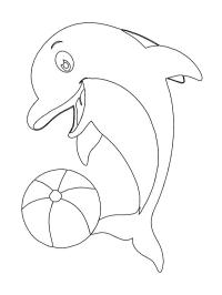 dauphin avec un ballon