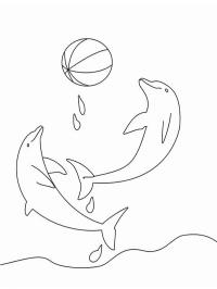 dauphins qui jouent avec ballon