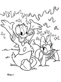 Donald et Daisy