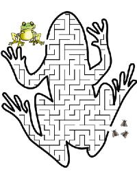 labyrinthe grenouille