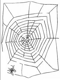 Labyrinthe toile d'araignée