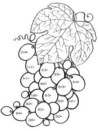 Mathématiques raisin