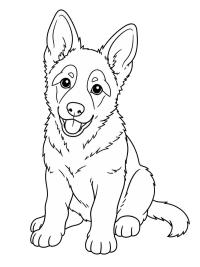 Chiot Berger Allemand