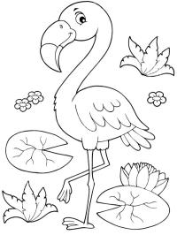 Flamant