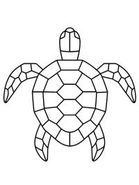 Tortue géométrique